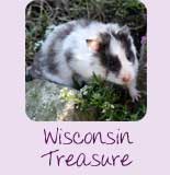 Wisconsin Treasure